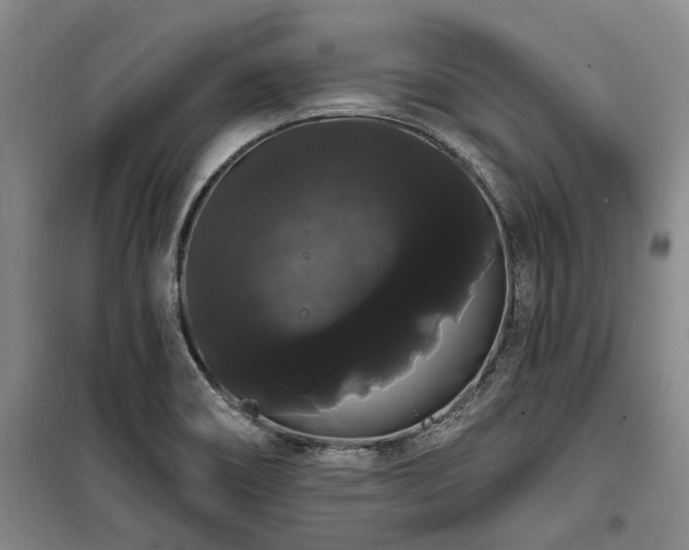 X0000100201466200805301259