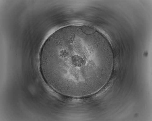 X0000100201467200805301259