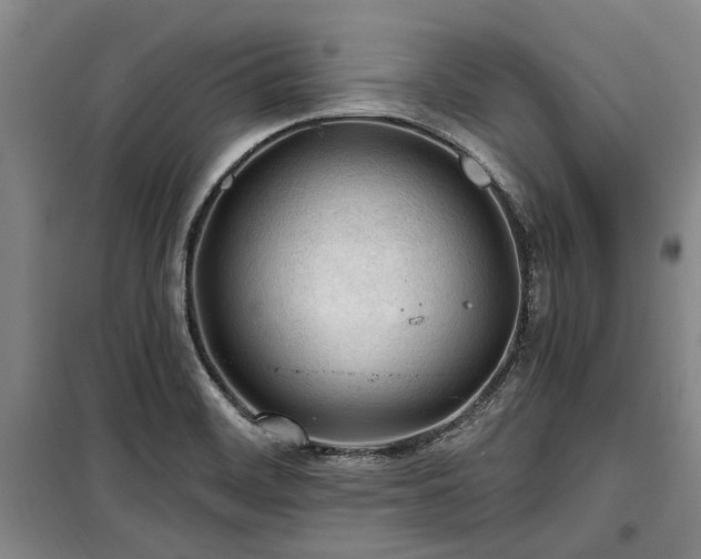 X0000100201468200805301259