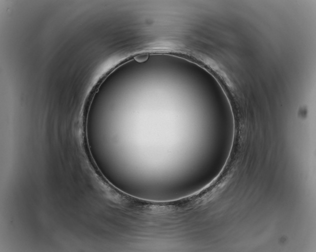 X0000100201469200805301259