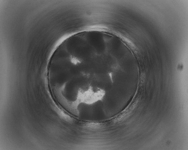 X0000100201470200805301259