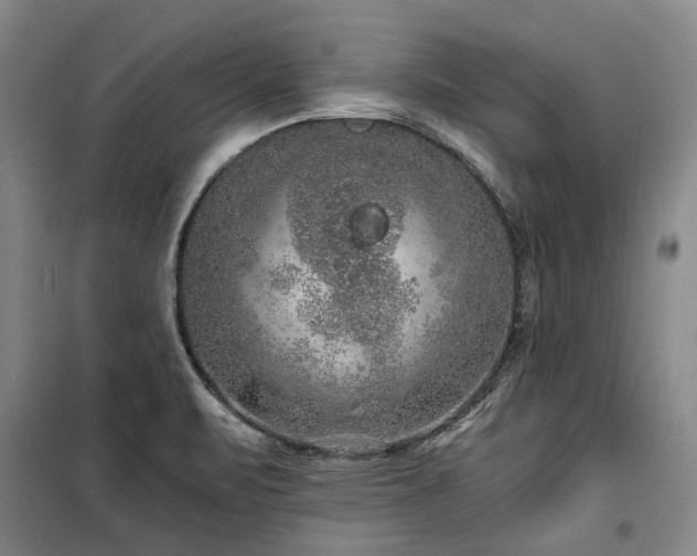 X0000100201471200805301259