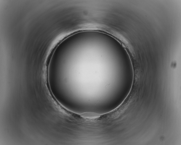 X0000100201472200805301259