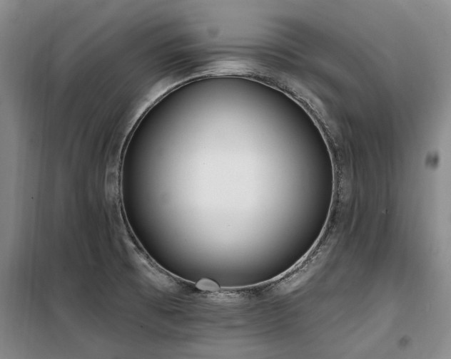 X0000100201473200805301259