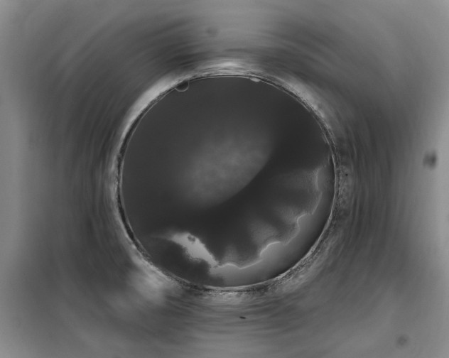 X0000100201474200805301259