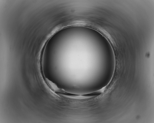 X0000100201475200805301259