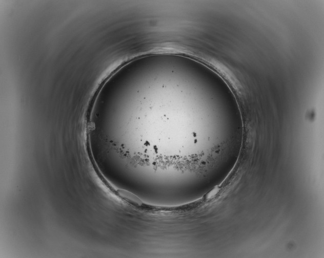 X0000100201476200805301259