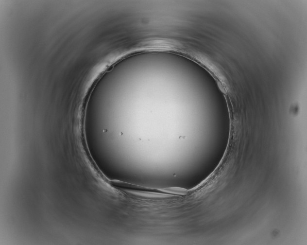 X0000100201477200805301259