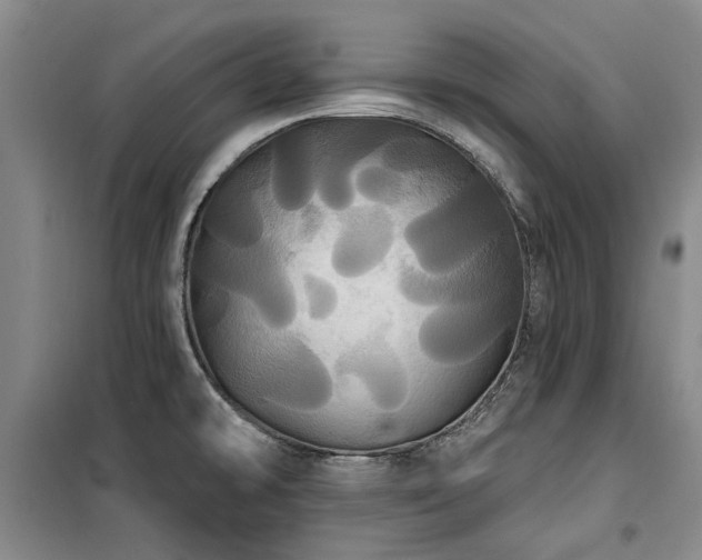X0000100201478200805301259
