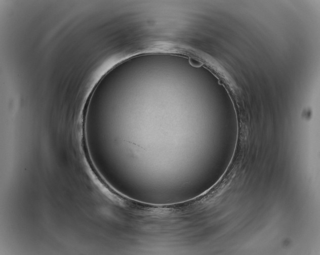 X0000100201479200805301259