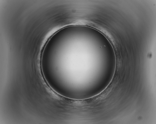 X0000100201480200805301259