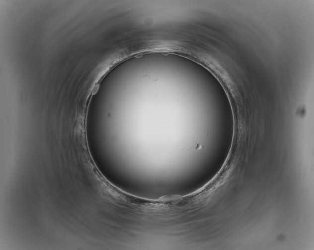 X0000100201481200805301259