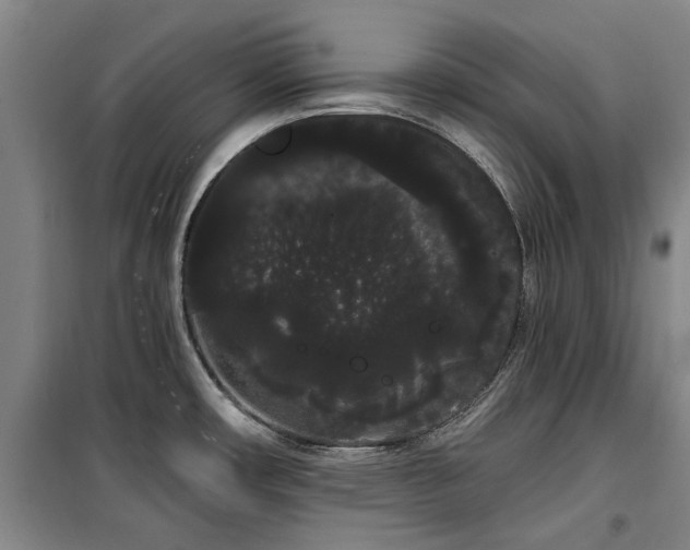 X0000100201482200805301259
