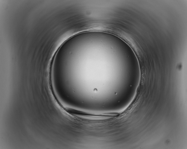 X0000100201483200805301259