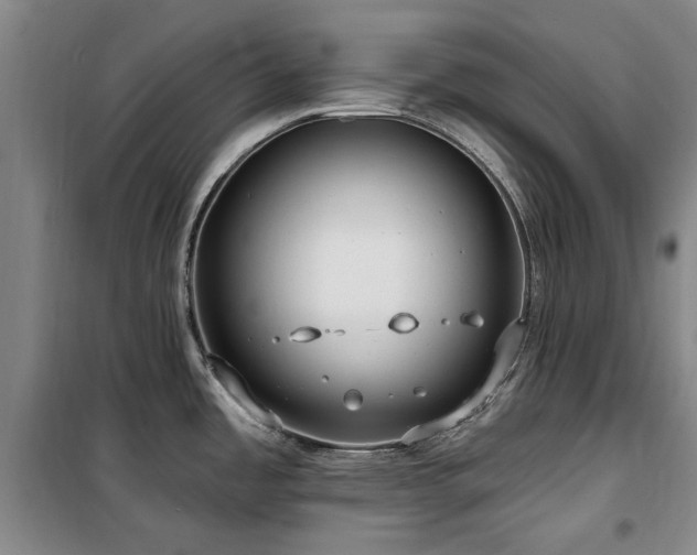 X0000100201485200805301259
