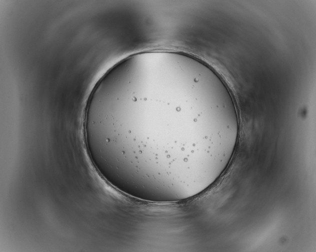 X0000100201486200805301259