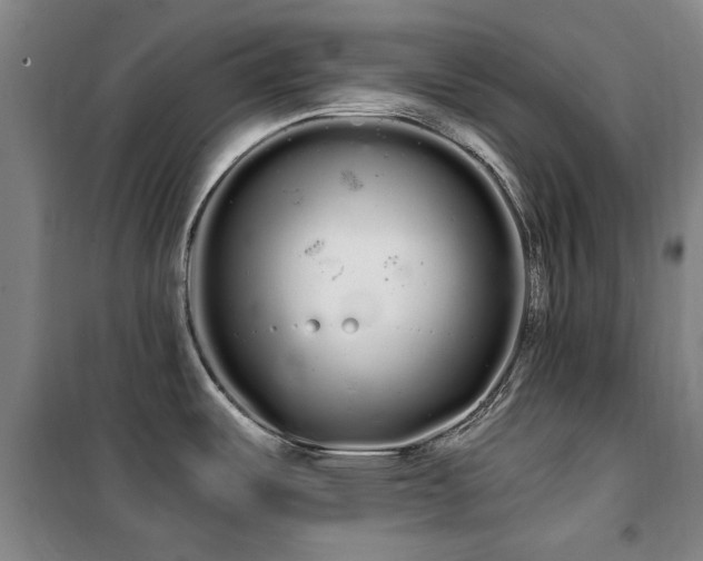 X0000100201487200805301259