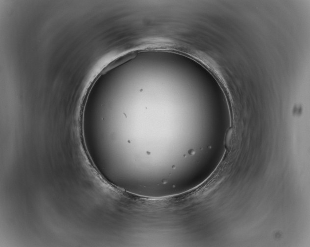 X0000100201488200805301259