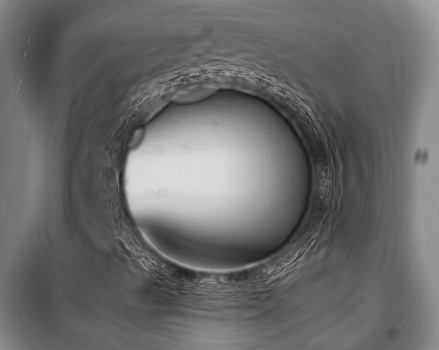 X0000100201489200805301258