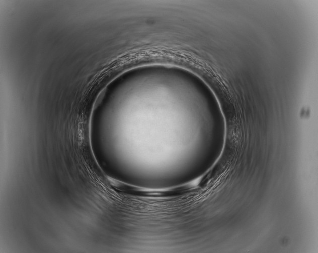 X0000100201490200805301258