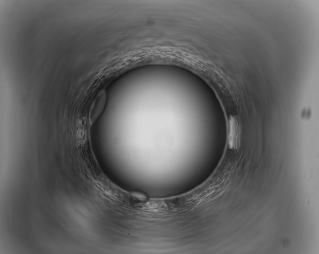 X0000100201491200805301258
