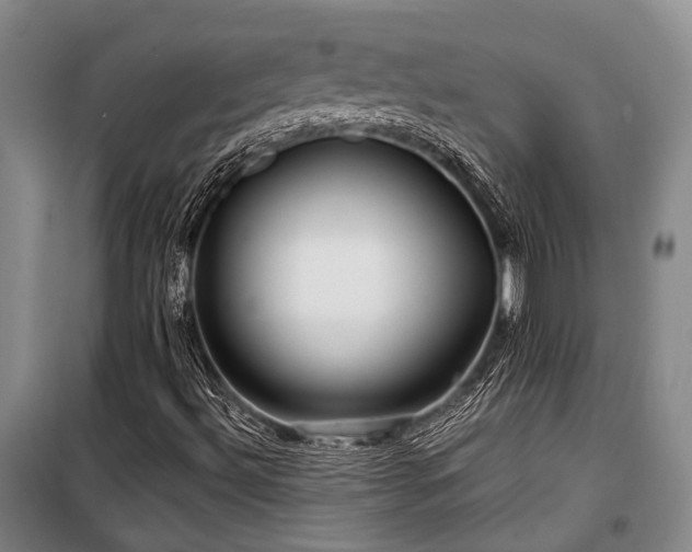 X0000100201492200805301258