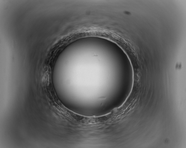 X0000100201493200805301258