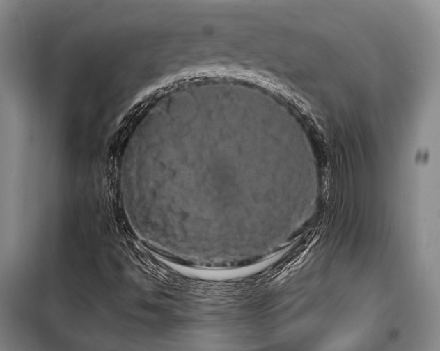 X0000100201494200805301258