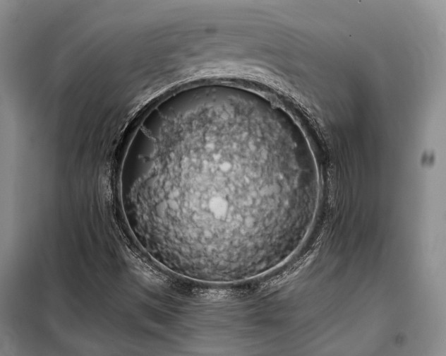 X0000100201497200805301258