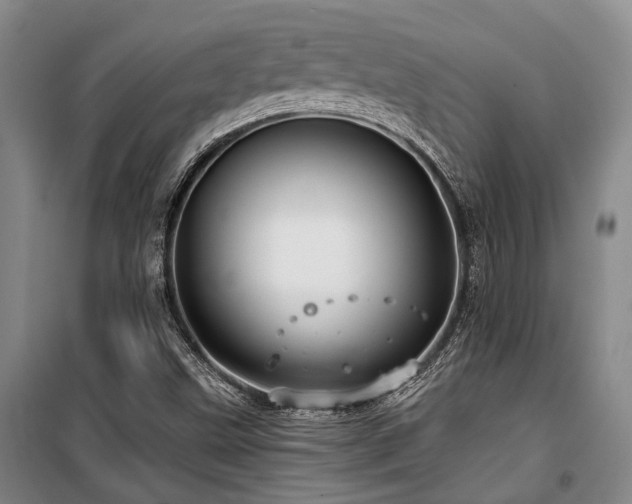X0000100201499200805301258