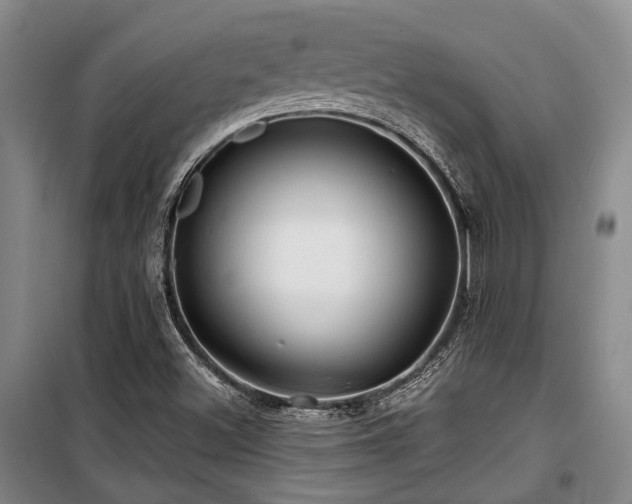 X0000100201500200805301258