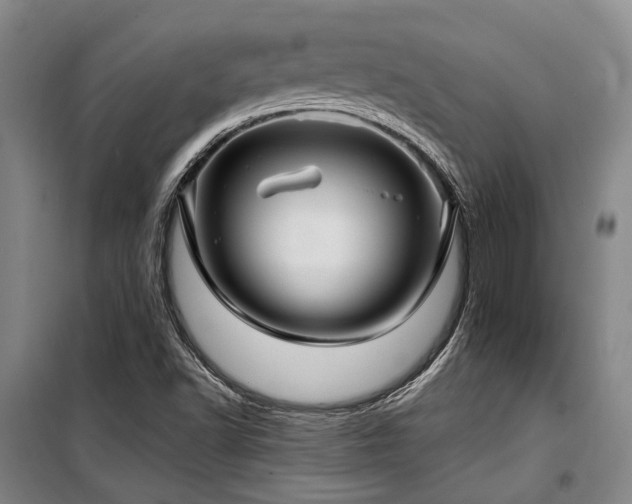 X0000100201502200805301258