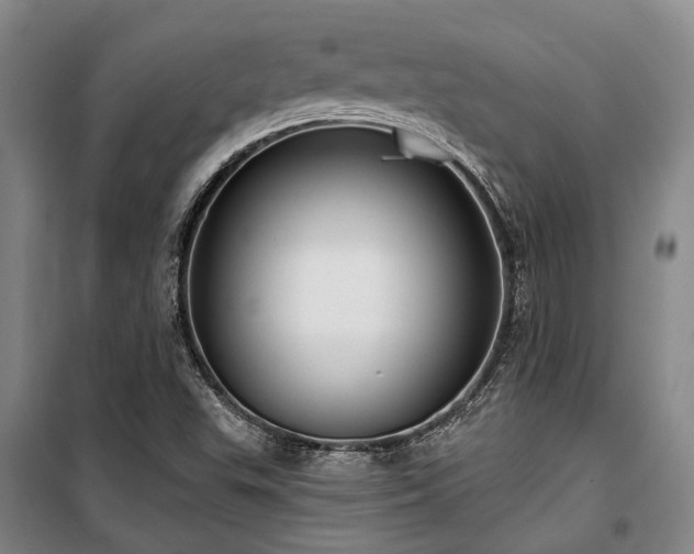 X0000100201503200805301258
