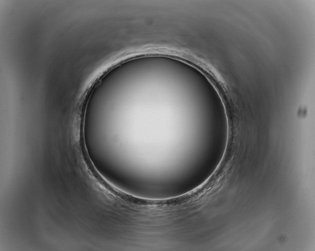 X0000100201504200805301258