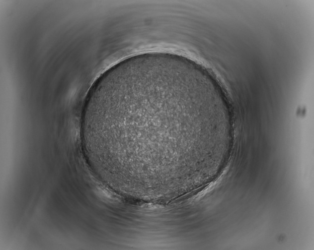 X0000100201505200805301258