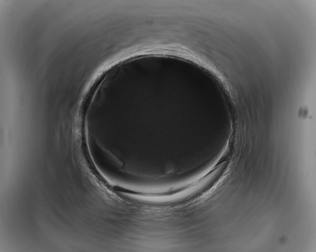 X0000100201506200805301258