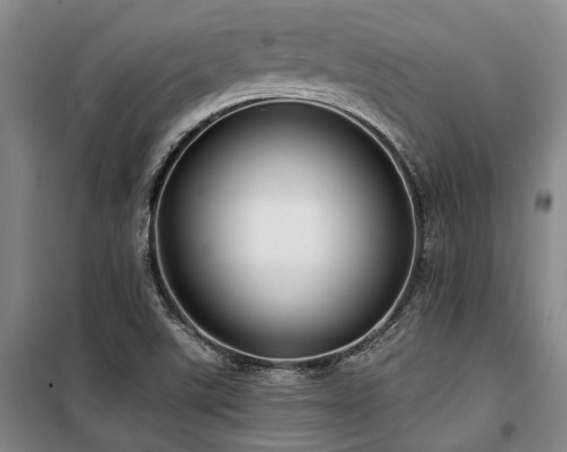 X0000100201507200805301258