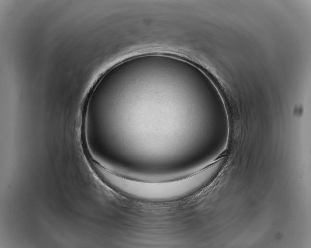 X0000100201508200805301258