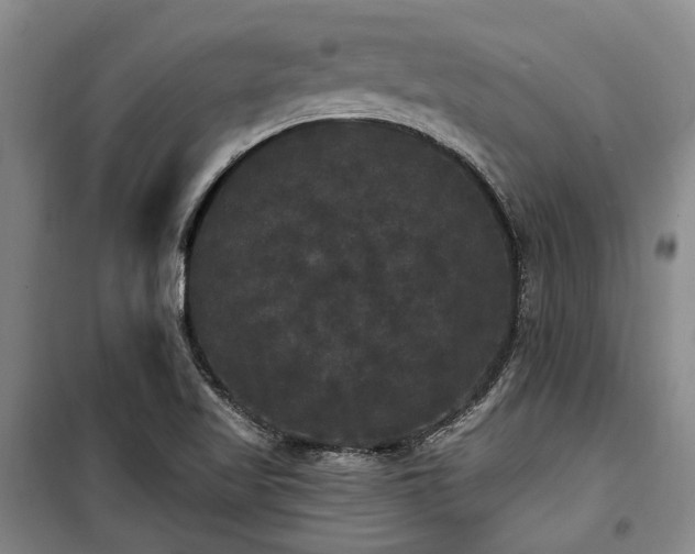 X0000100201509200805301258