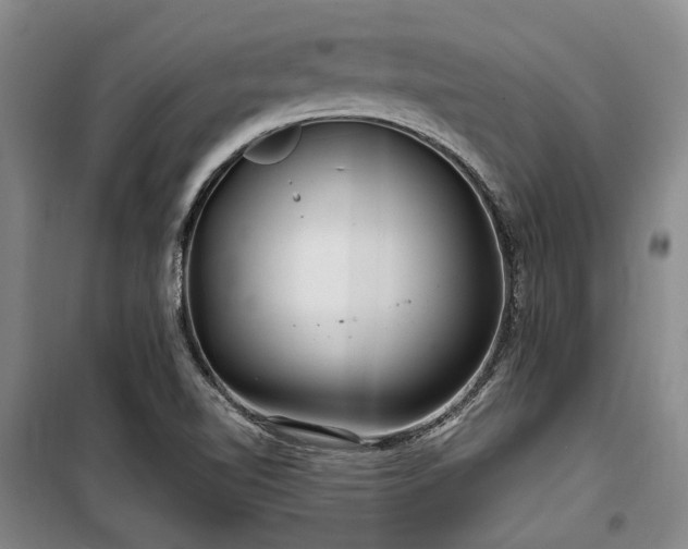 X0000100201510200805301258