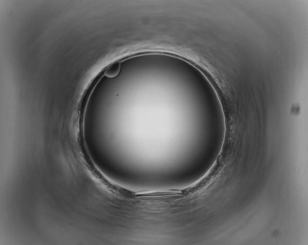 X0000100201511200805301258