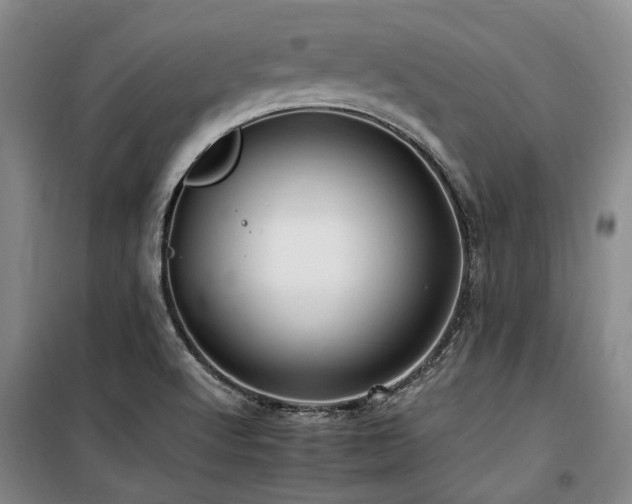 X0000100201512200805301258