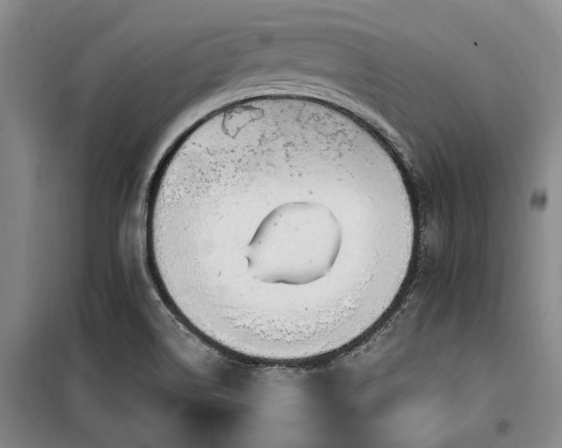 X0000100201514200805301258