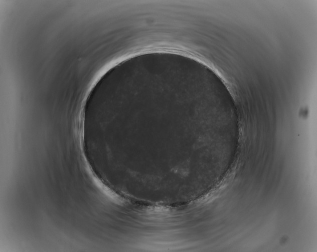 X0000100201515200805301258