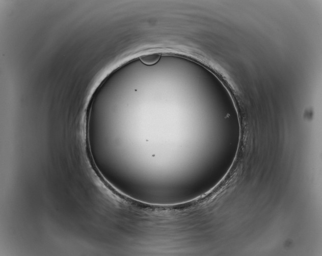 X0000100201516200805301258