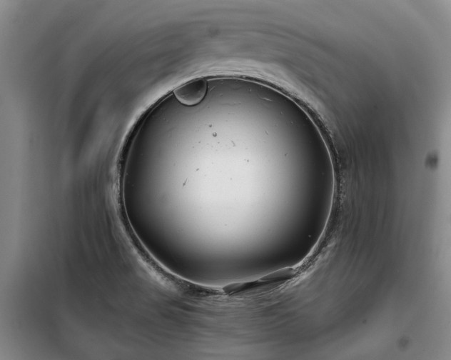 X0000100201517200805301258