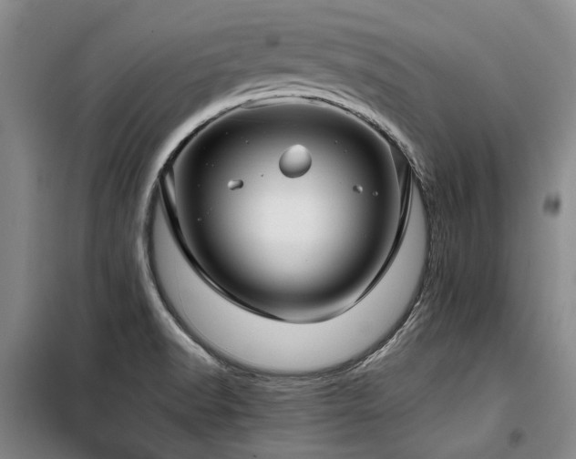 X0000100201518200805301258
