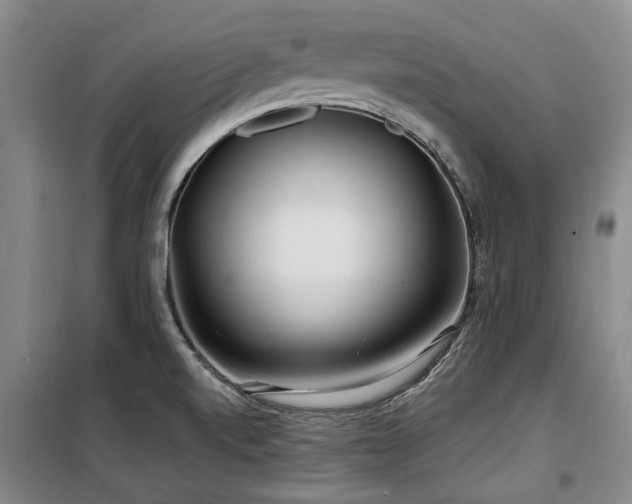 X0000100201520200805301258