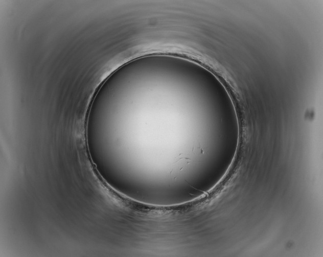 X0000100201521200805301258