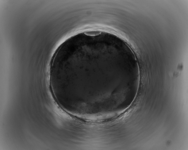 X0000100201522200805301258